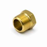 Fitting, Brass Fitting, Hex Plug (Hole Cover), zab. 8A    1/4 (13.1) inch (mm) (PT) ; Qty = 20; FIT-B-HPY-P25-20